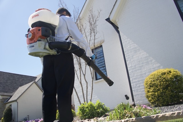 Pest Control