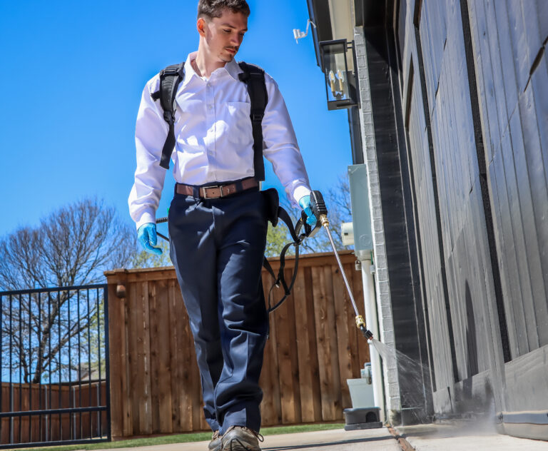 Pest Control Harlingen